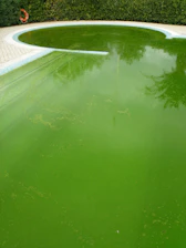 Before and after of a sparkling pool cleared from green algae buildup.