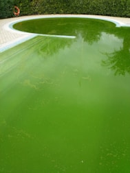 A swimming pool with green, murky water indicates algae growth, surrounded by a patio with a life buoy mounted on the fence.