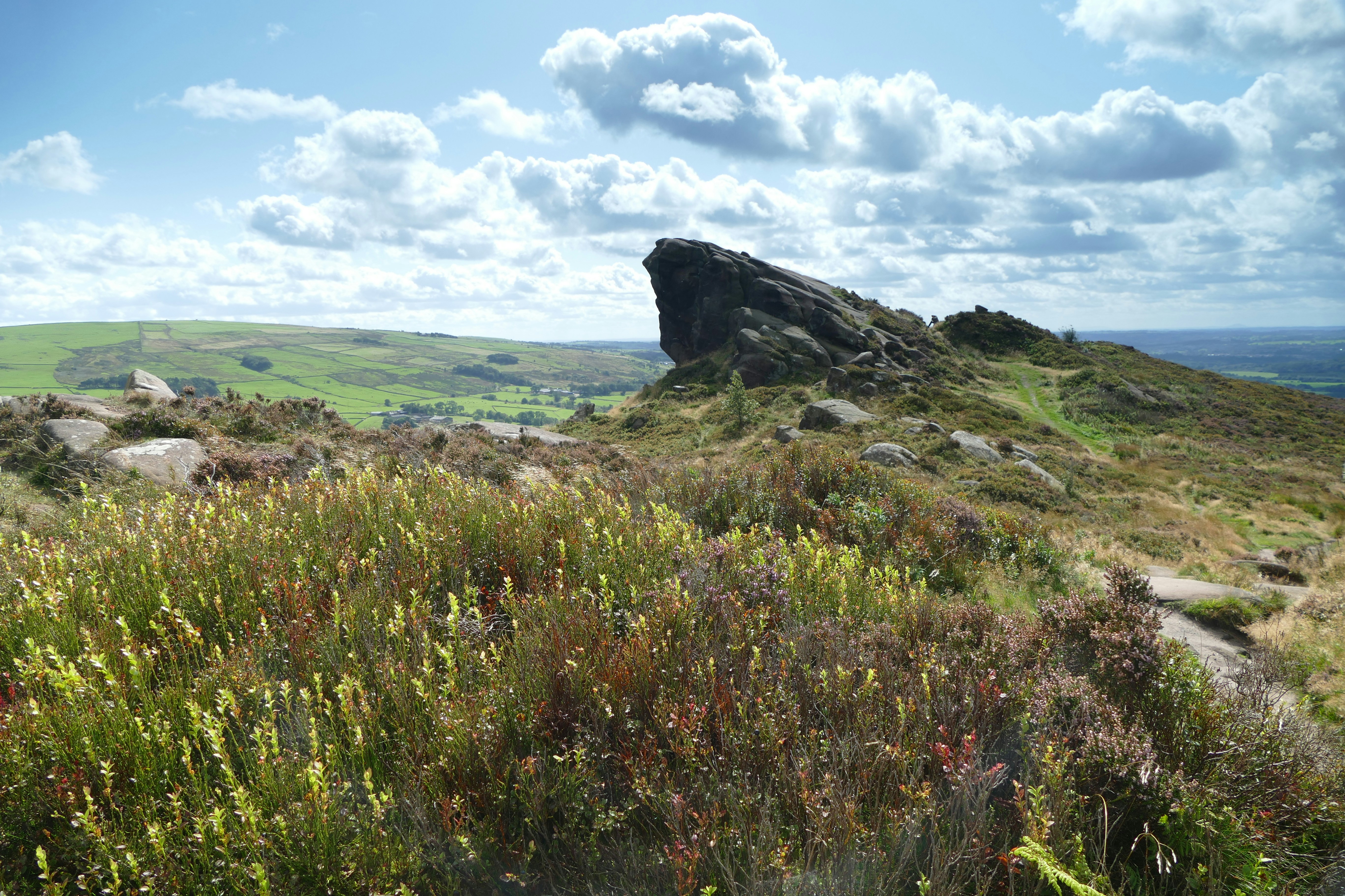 Photo by puffinadventures