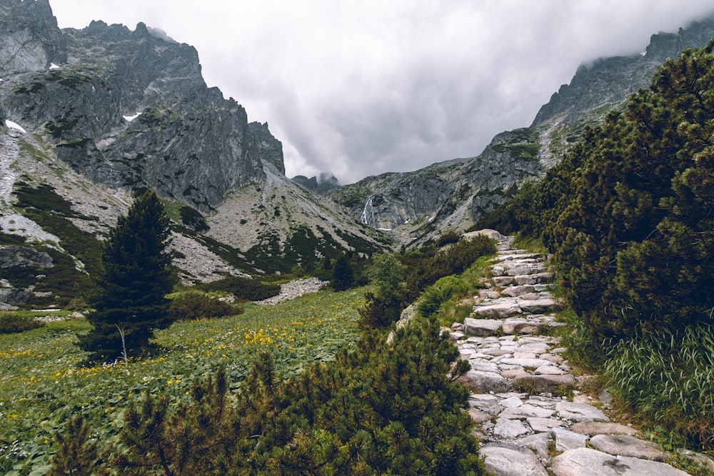 Fotografia aerea della montagna di osservazione del campo verde durante il giorno