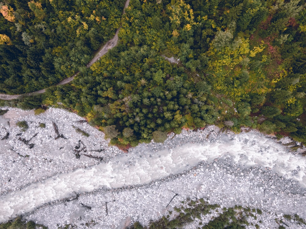 body of water beside trees during daytime