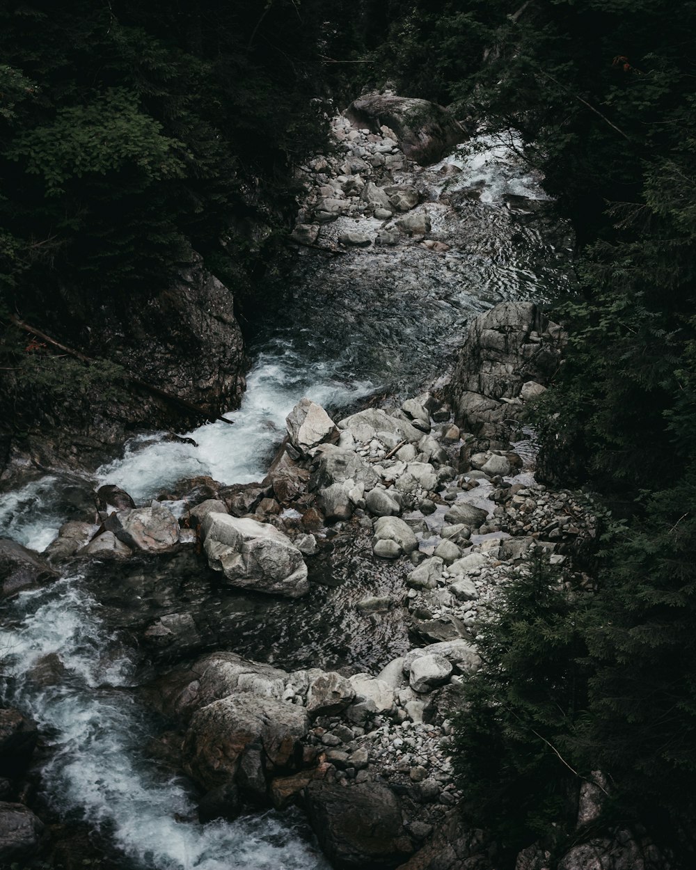 flowing river during daytime