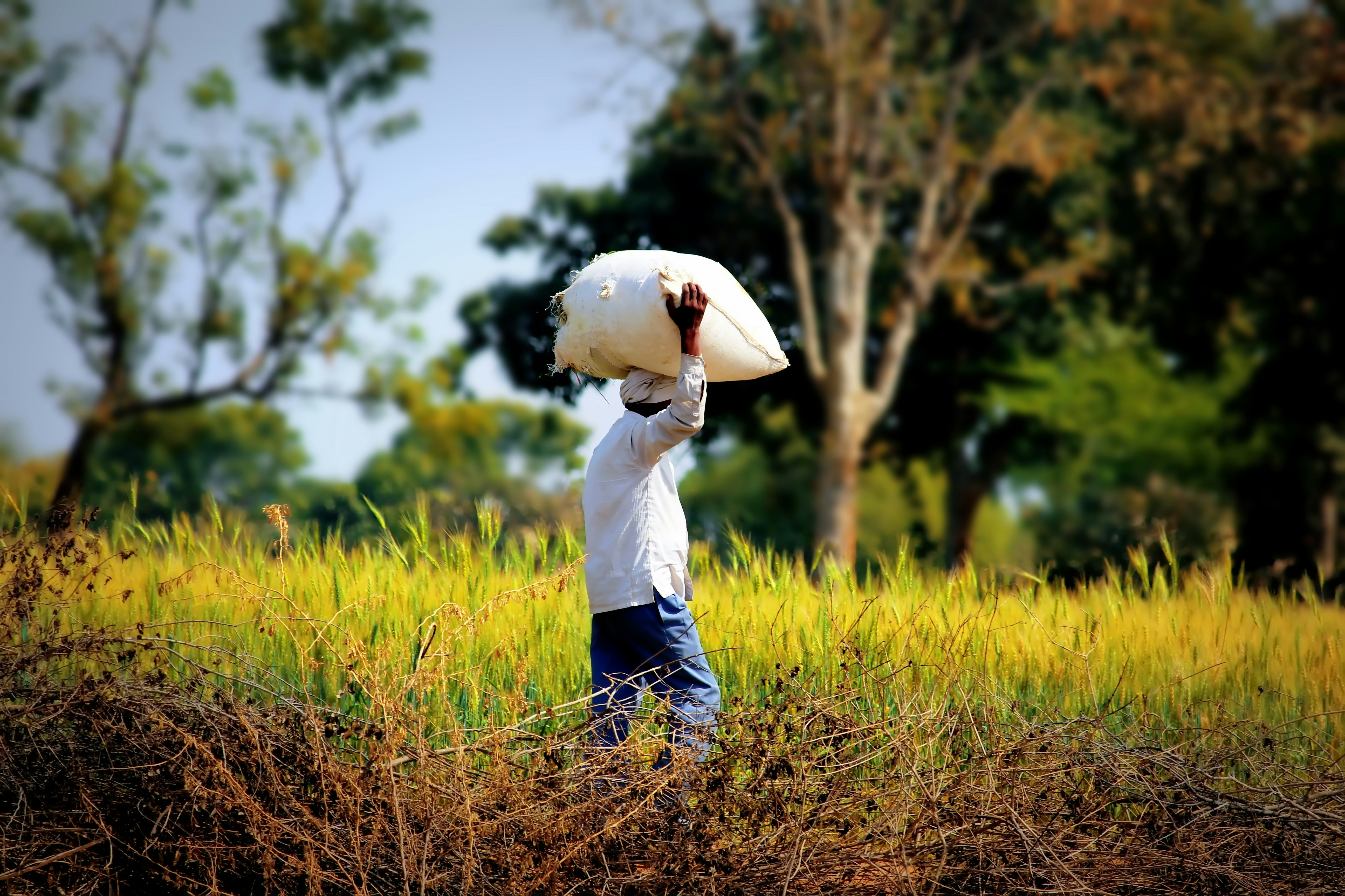 Photo by himshekgraphy