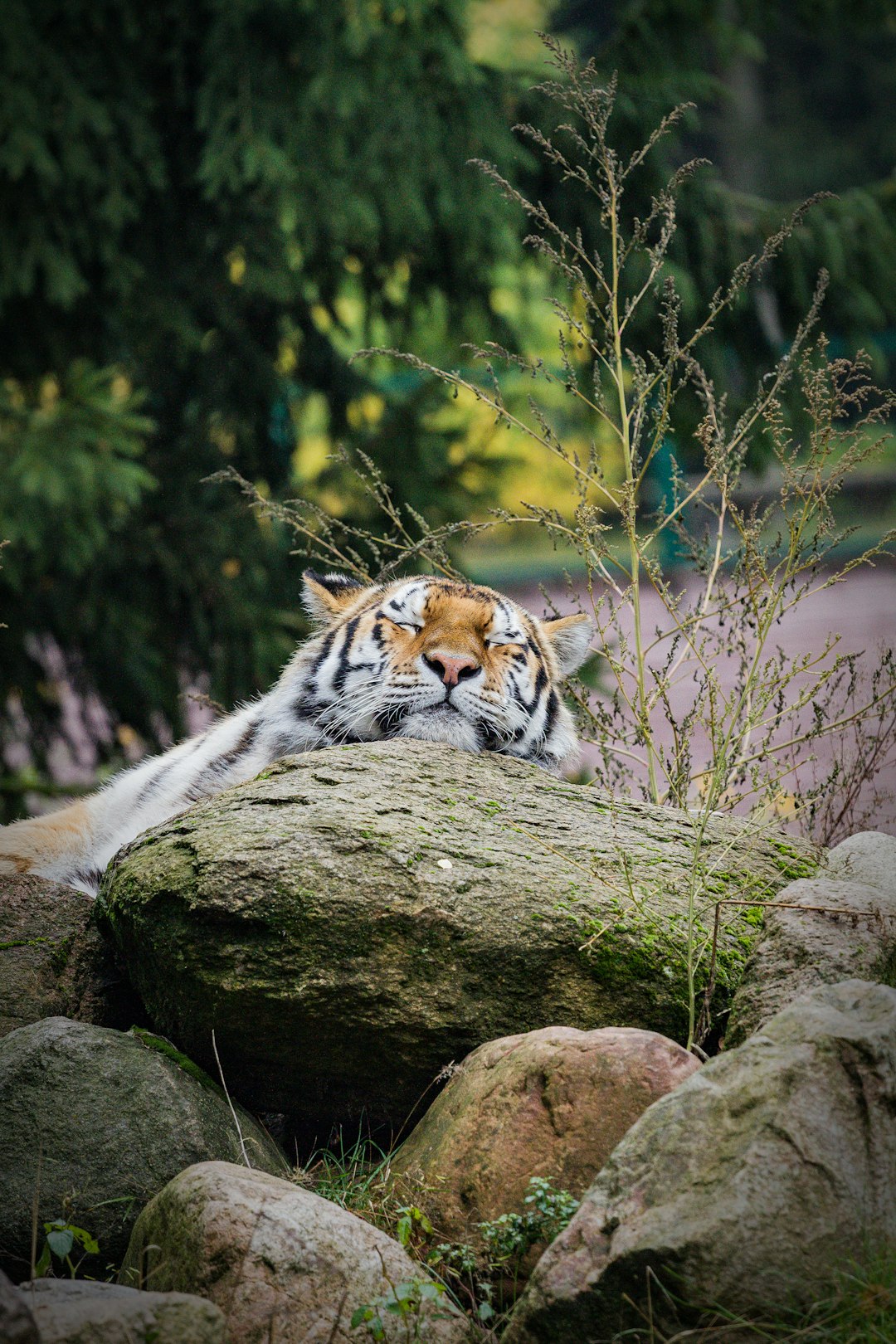 travelers stories about Wildlife in Zoologischer Garten Eberswalde, Germany
