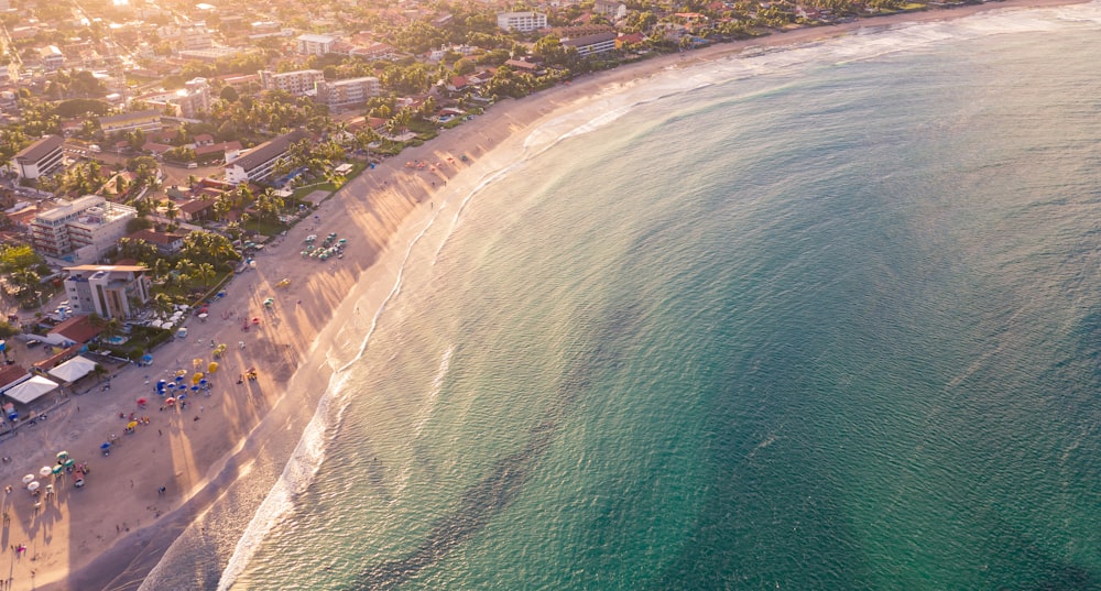 aerial photography of seashore during daytime