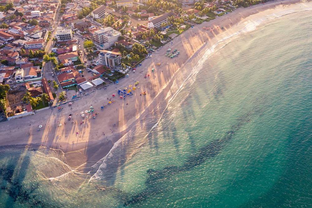 aerial photo of people near shore