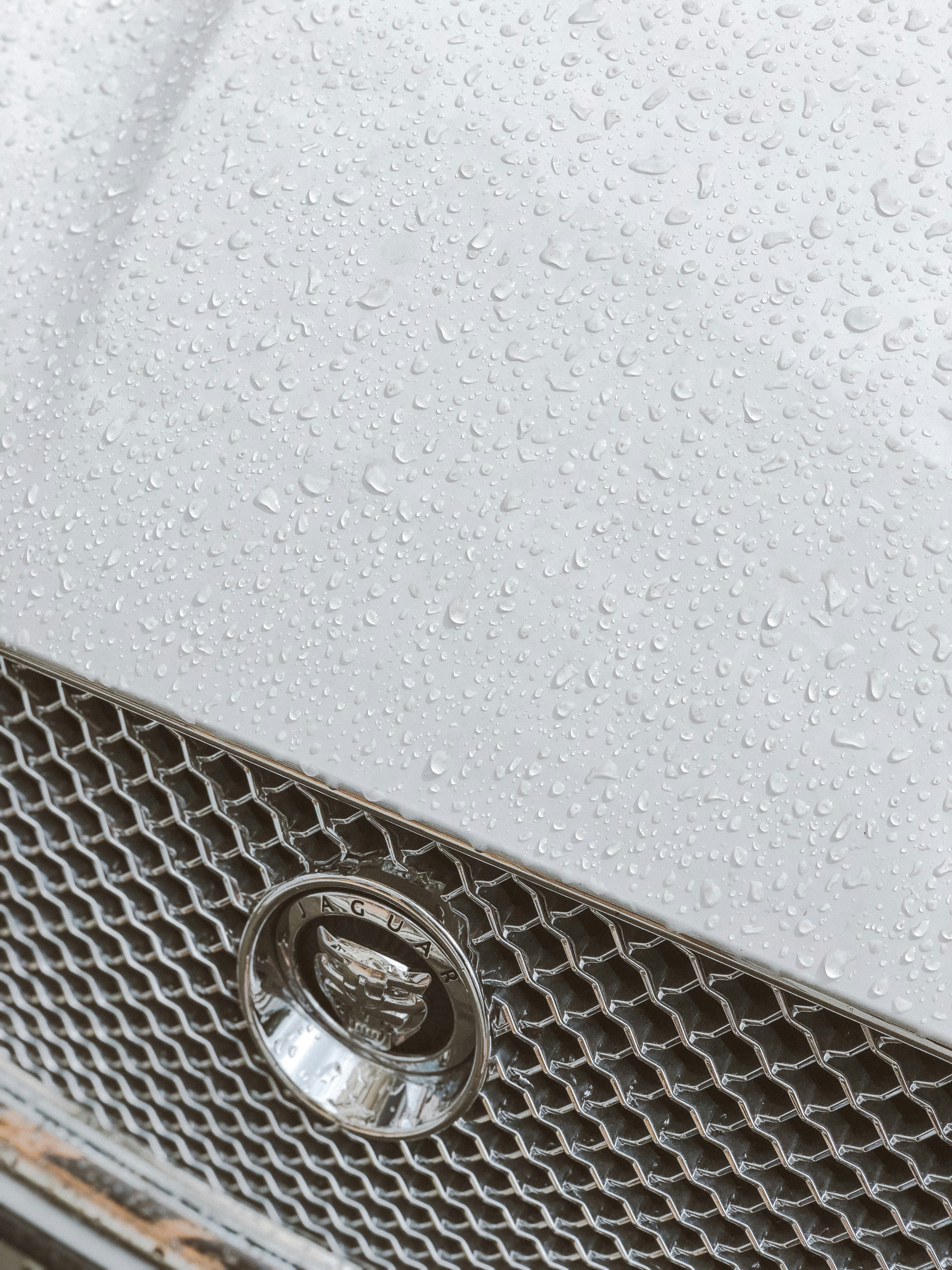 car paint water beading, wallpaper, Ceramic Coating: Ultimate Water Beading Detail 5