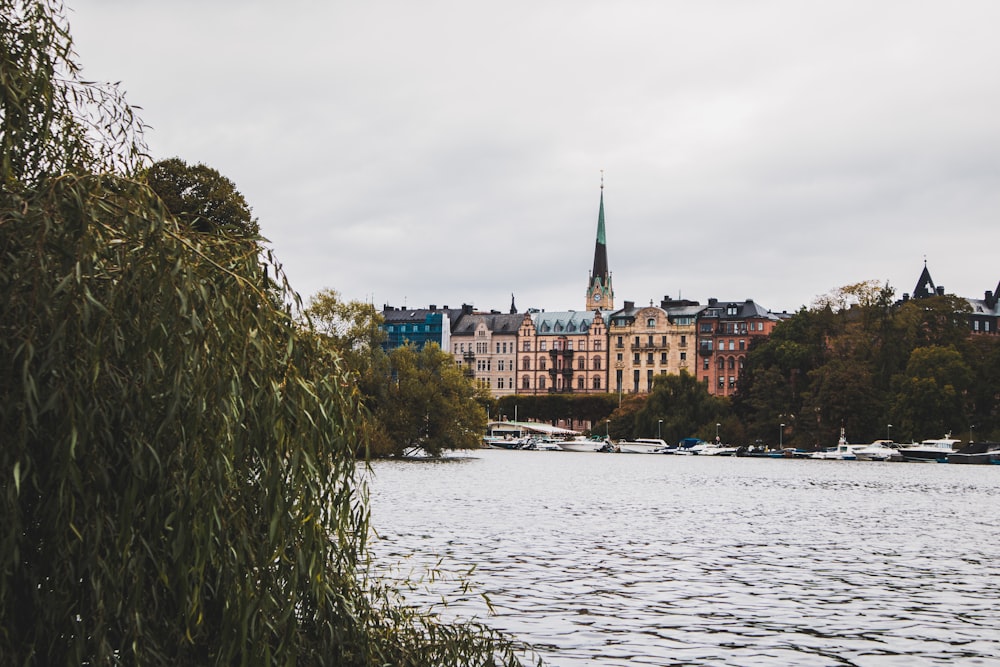 a body of water with a building in the background