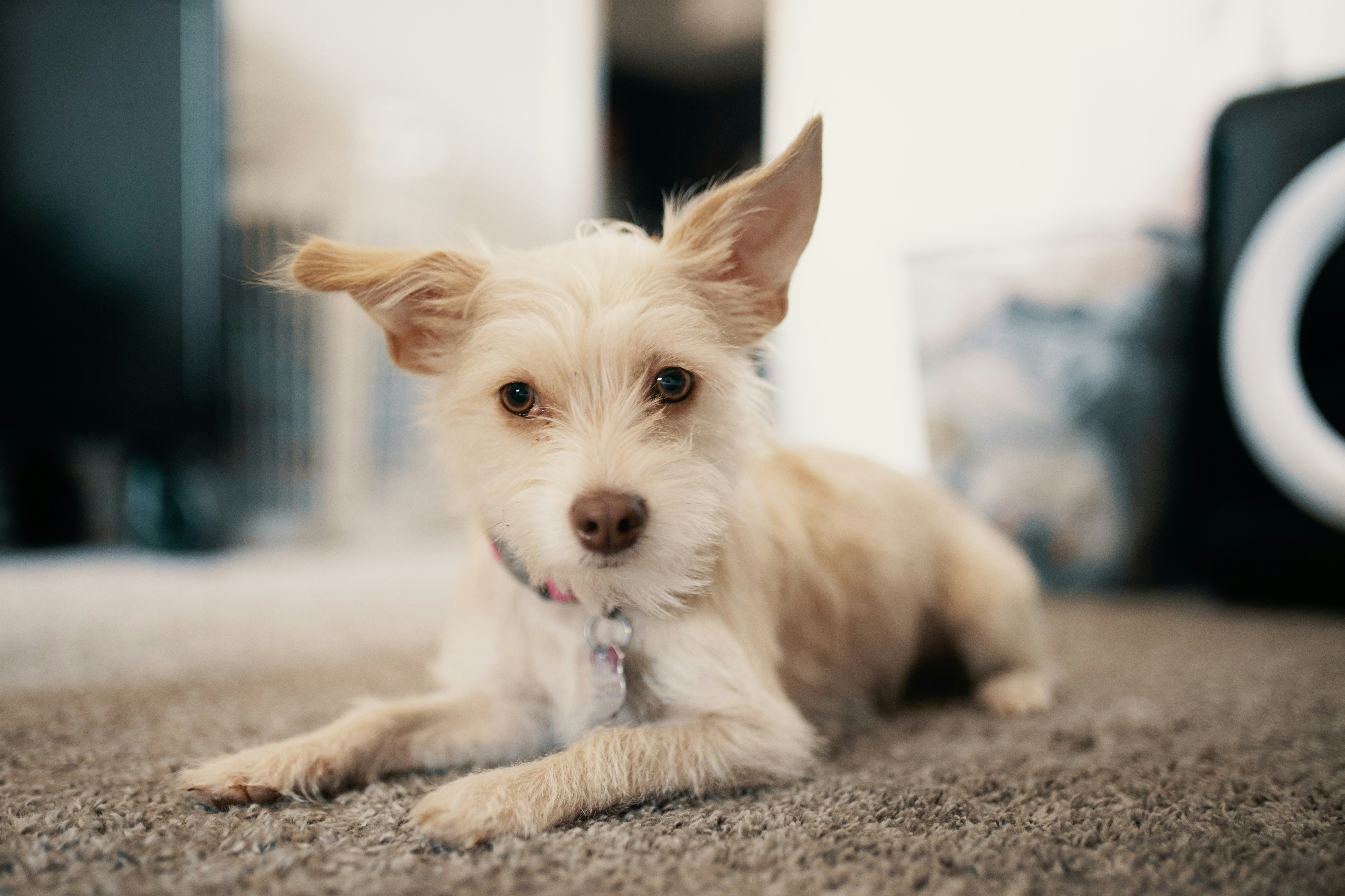 Photo by joshsorenson