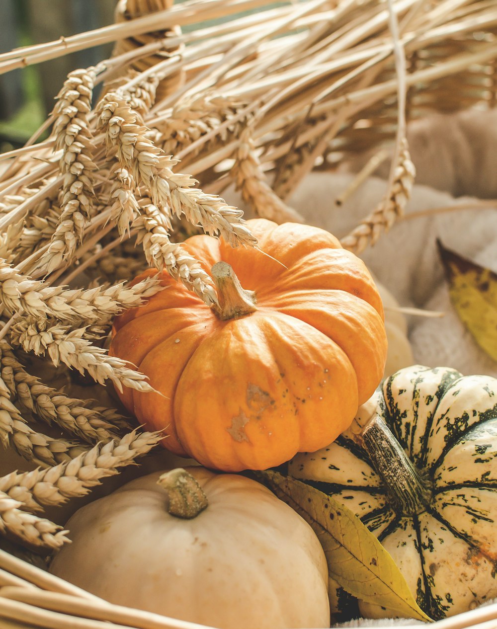 orange and green pumpkins in wicker basket