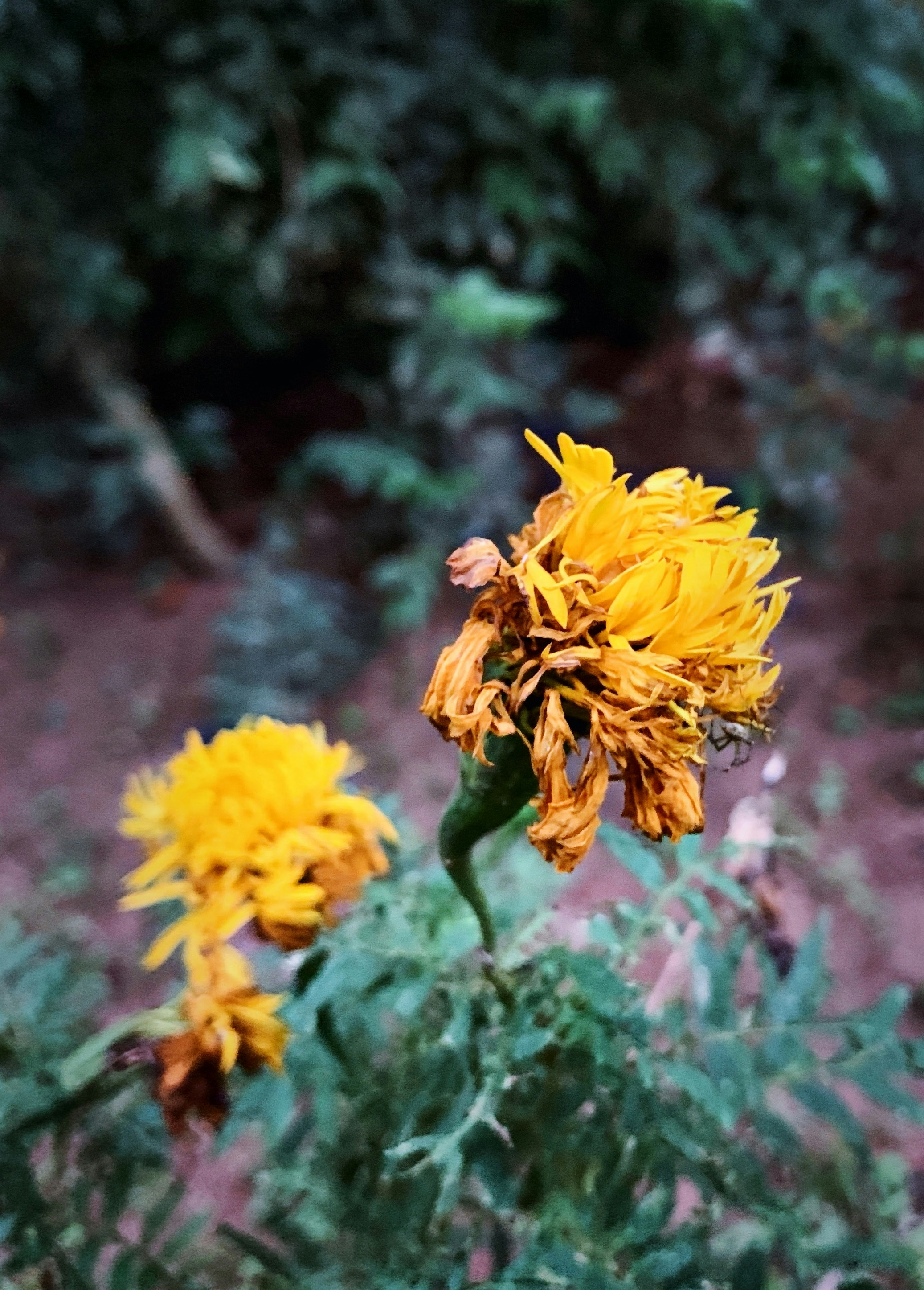 Yasiru (@djyasi) | Unsplash Photo Community