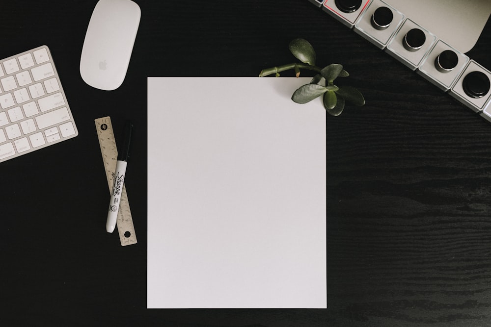 flatlay photo of paper, jad plant, marker, ruler, and Apple Magic Mouse