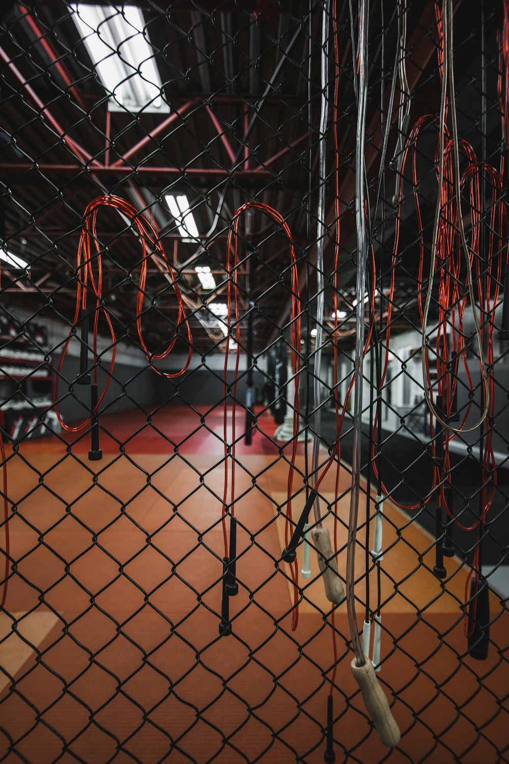 bunch of white and red jumping ropes hanging on chain link gate