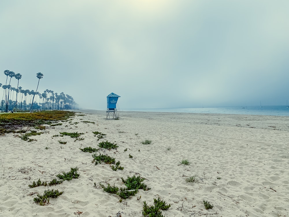 blue lifehouse at beach during daytime