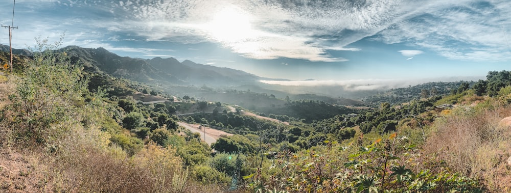 panoramic view of tree covered valley during daytime