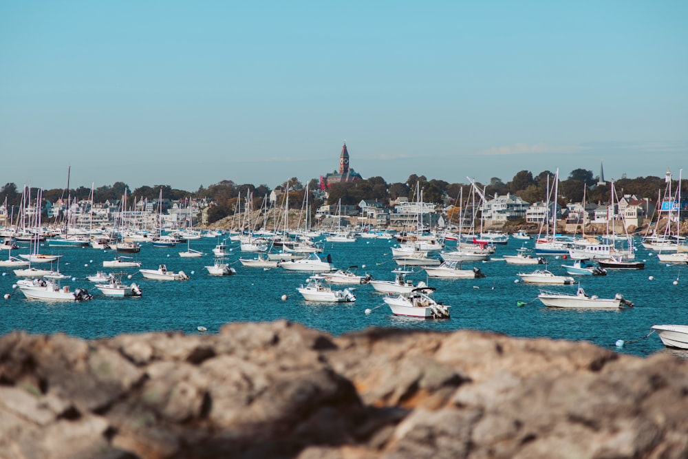 white sailboats in sea