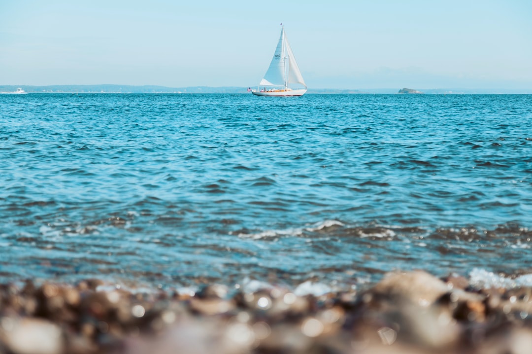 white sail boat