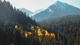 kazakhstan itinerary from india