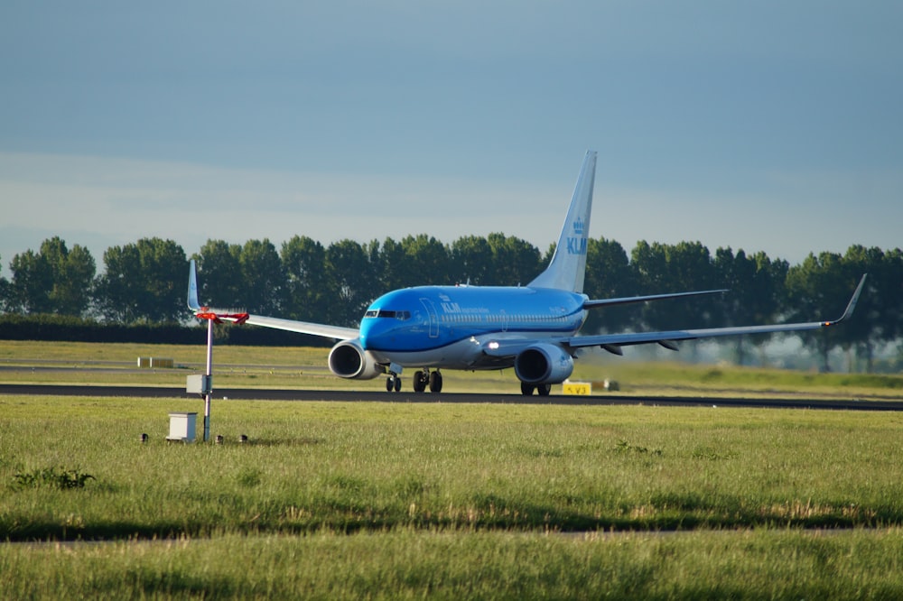 blue airplane on airfield during day