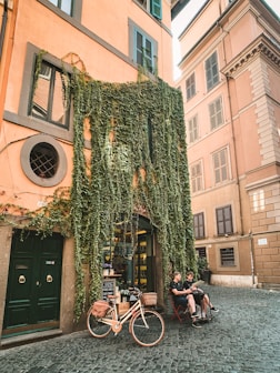 two people sitting beside green ivy plants