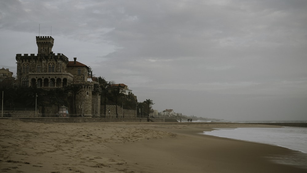 seashore during daytime