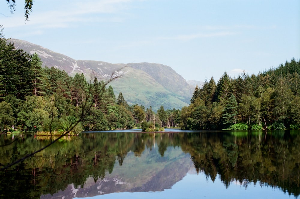 calm body of water and trees during daytime