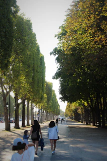 An outdoor scene of residents enjoying a gentle walk along a tree-lined path bathed in warm afternoon light.