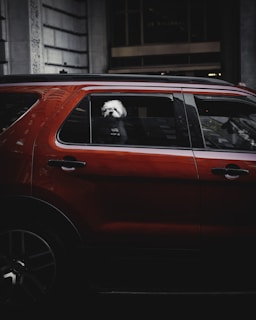 A small dog looking out the window at the bustling urban street below.