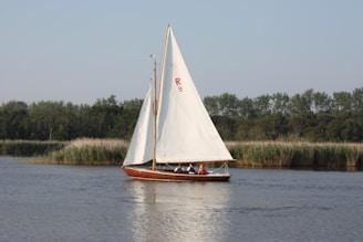 A sailboat with white sails glides across a calm body of water. The boat carries several passengers and features a wooden hull. It is set against a backdrop of tall reeds and distant trees under a clear blue sky.