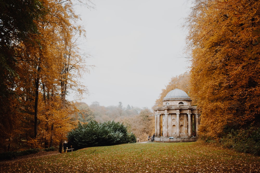 Gazebo in cemento grigio e bianco accanto agli alberi