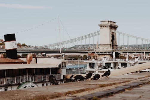 An elegant bridge spans across a river with a grand architectural design in the background. The foreground features a vintage-style boat moored at the riverbank, and several pigeons are visible on the stone surface near the water's edge.