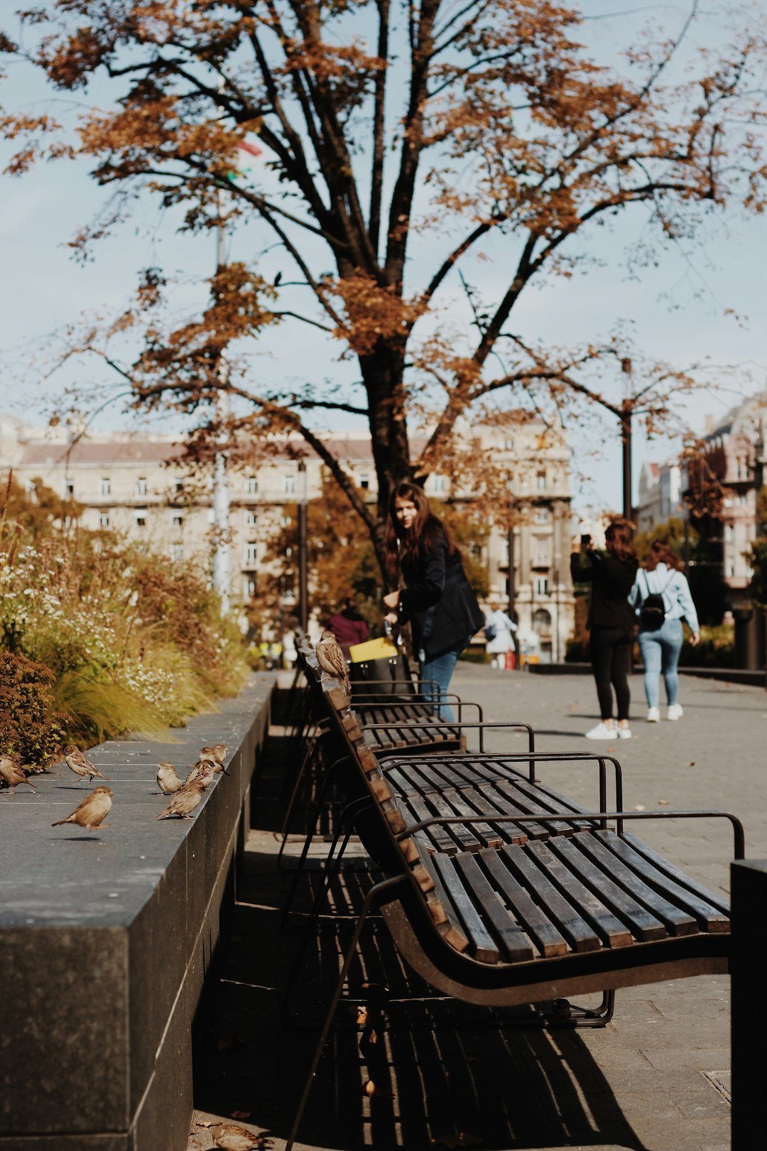 woman beside benches at the park during day