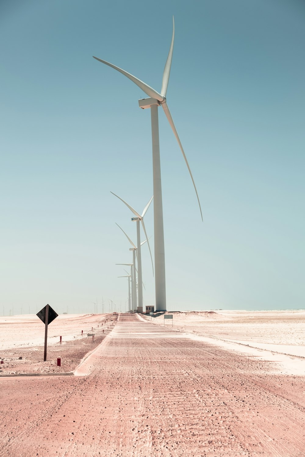 Campo con molinos de viento