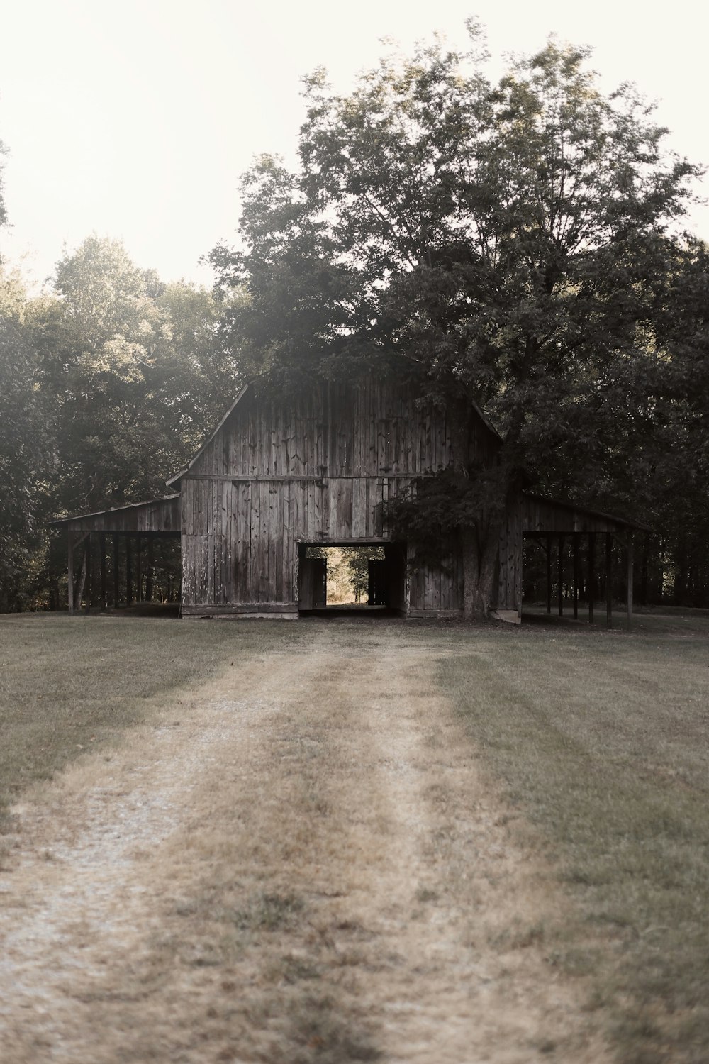 wooden barn by tree during daytime