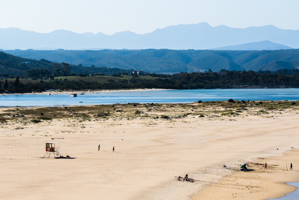 people on beach viewing mountain during daytime