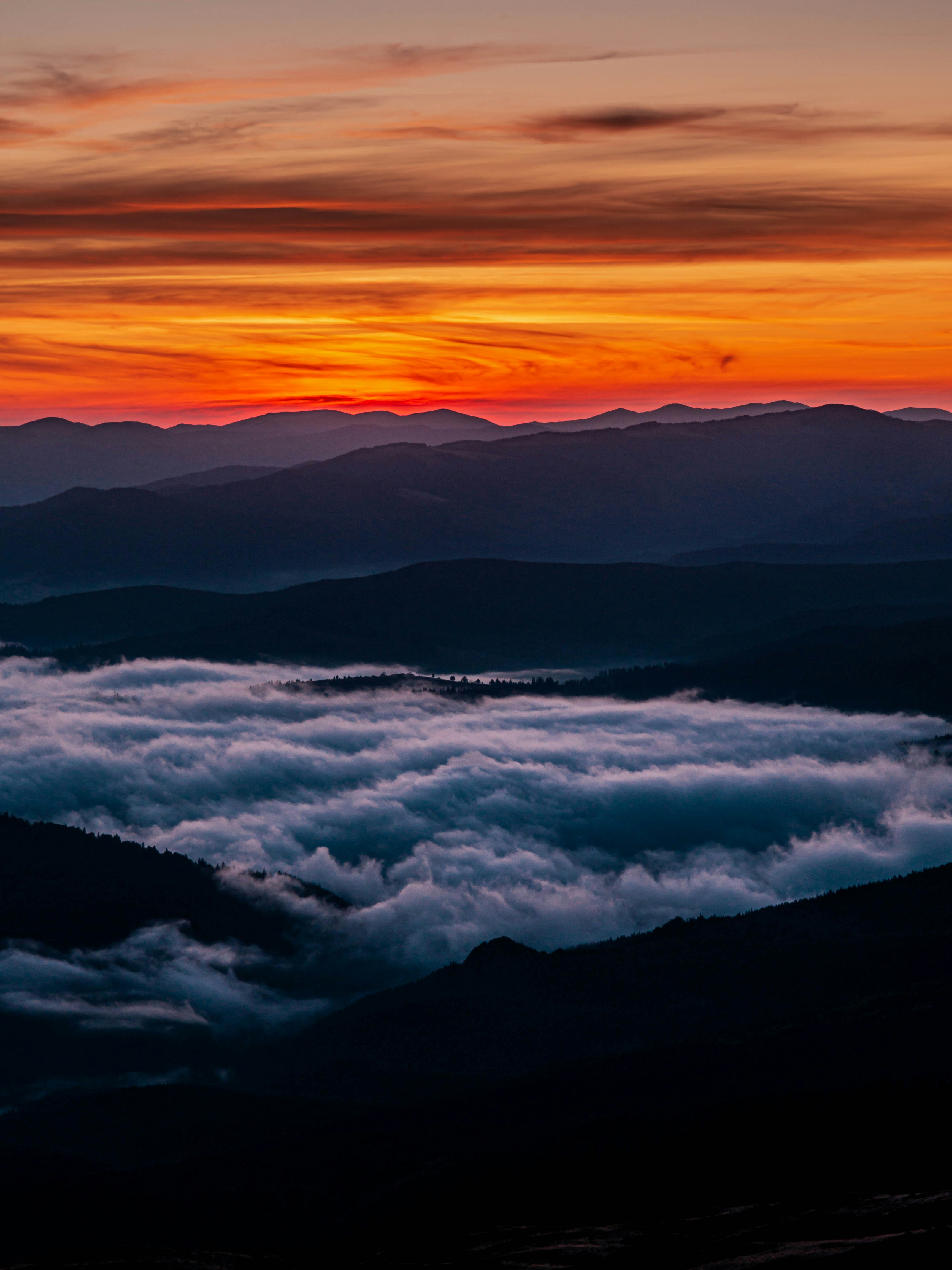 Photo by fedorchenkoalina