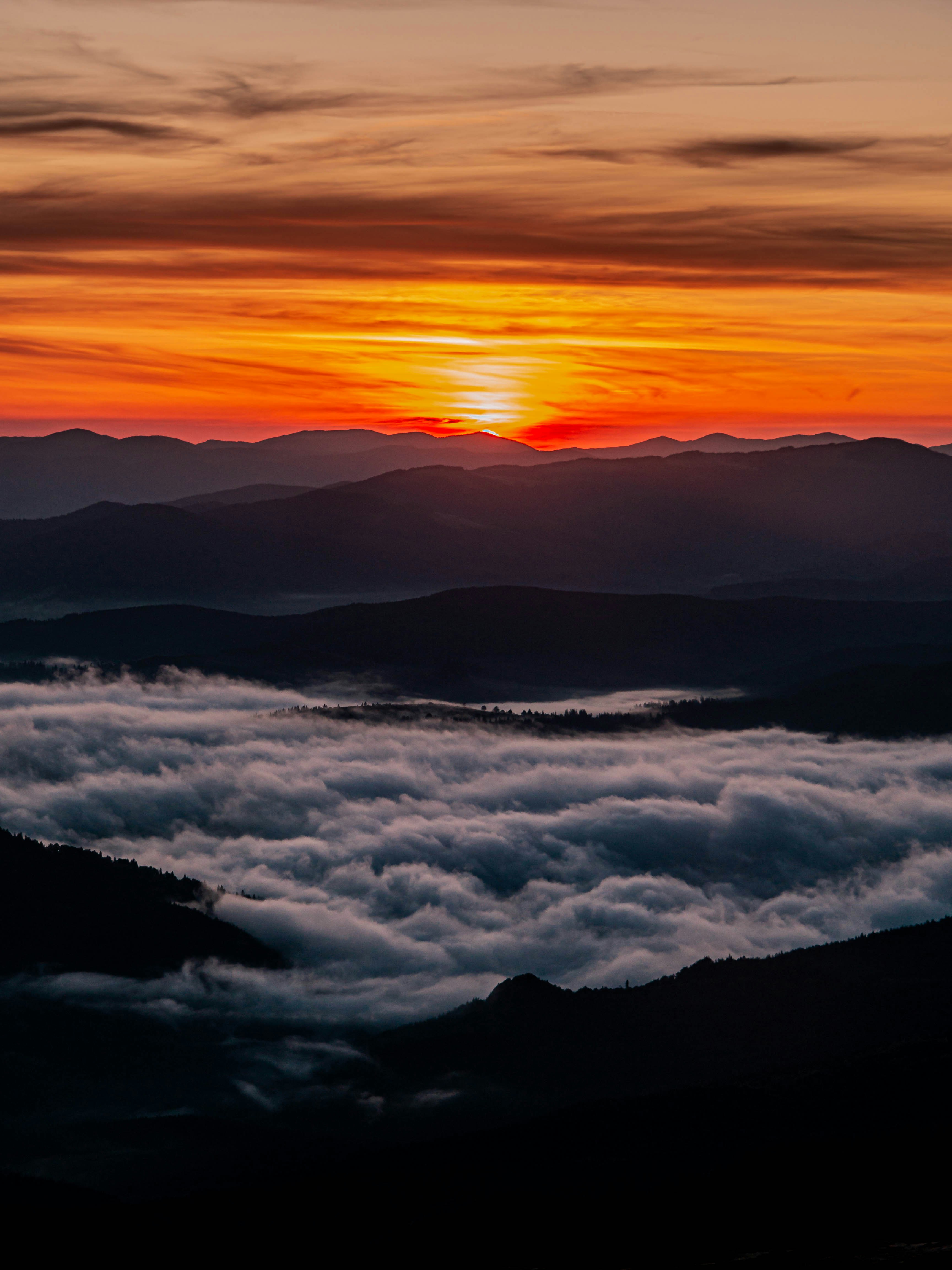 Photo by fedorchenkoalina