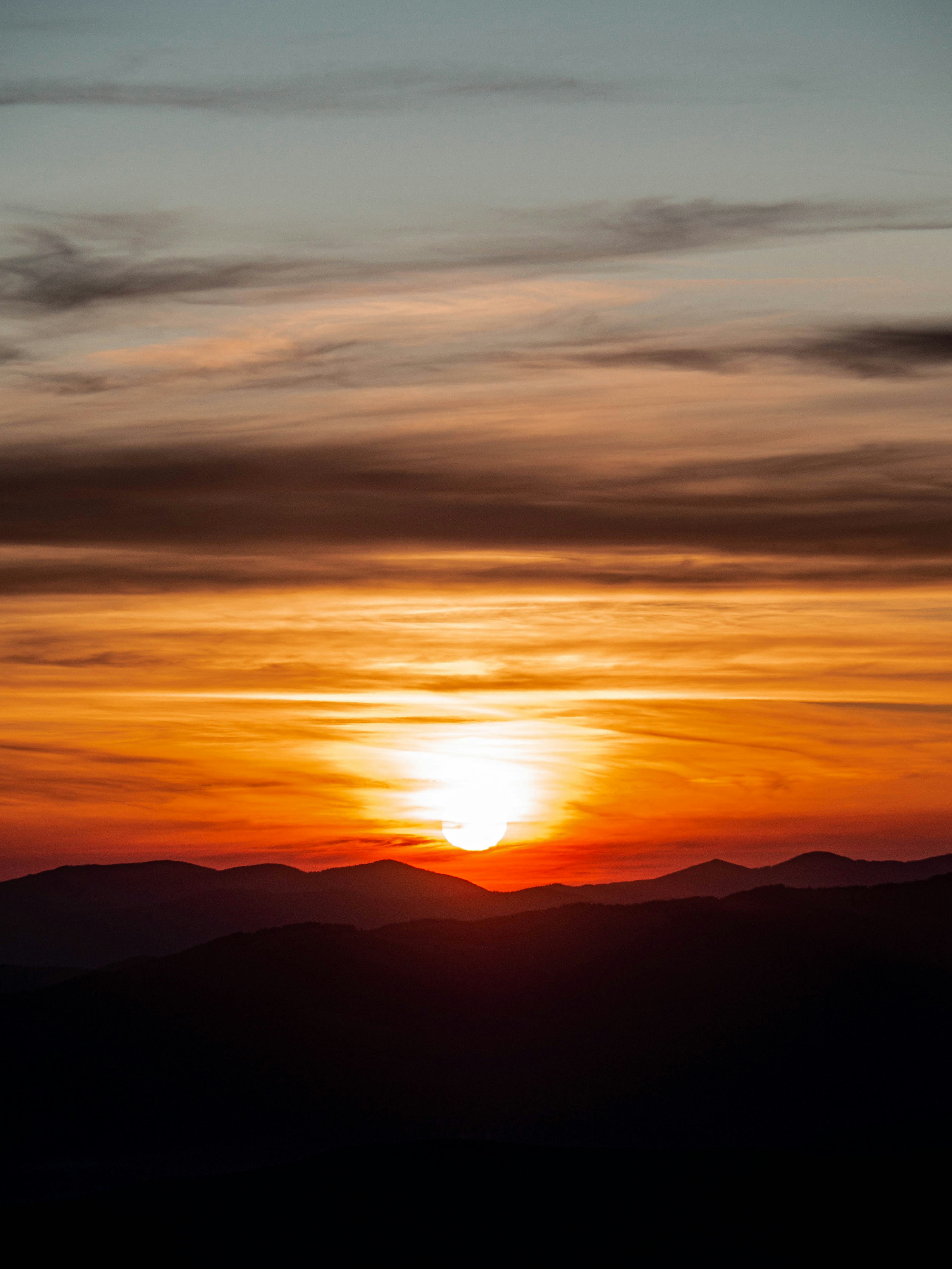 Photo by fedorchenkoalina