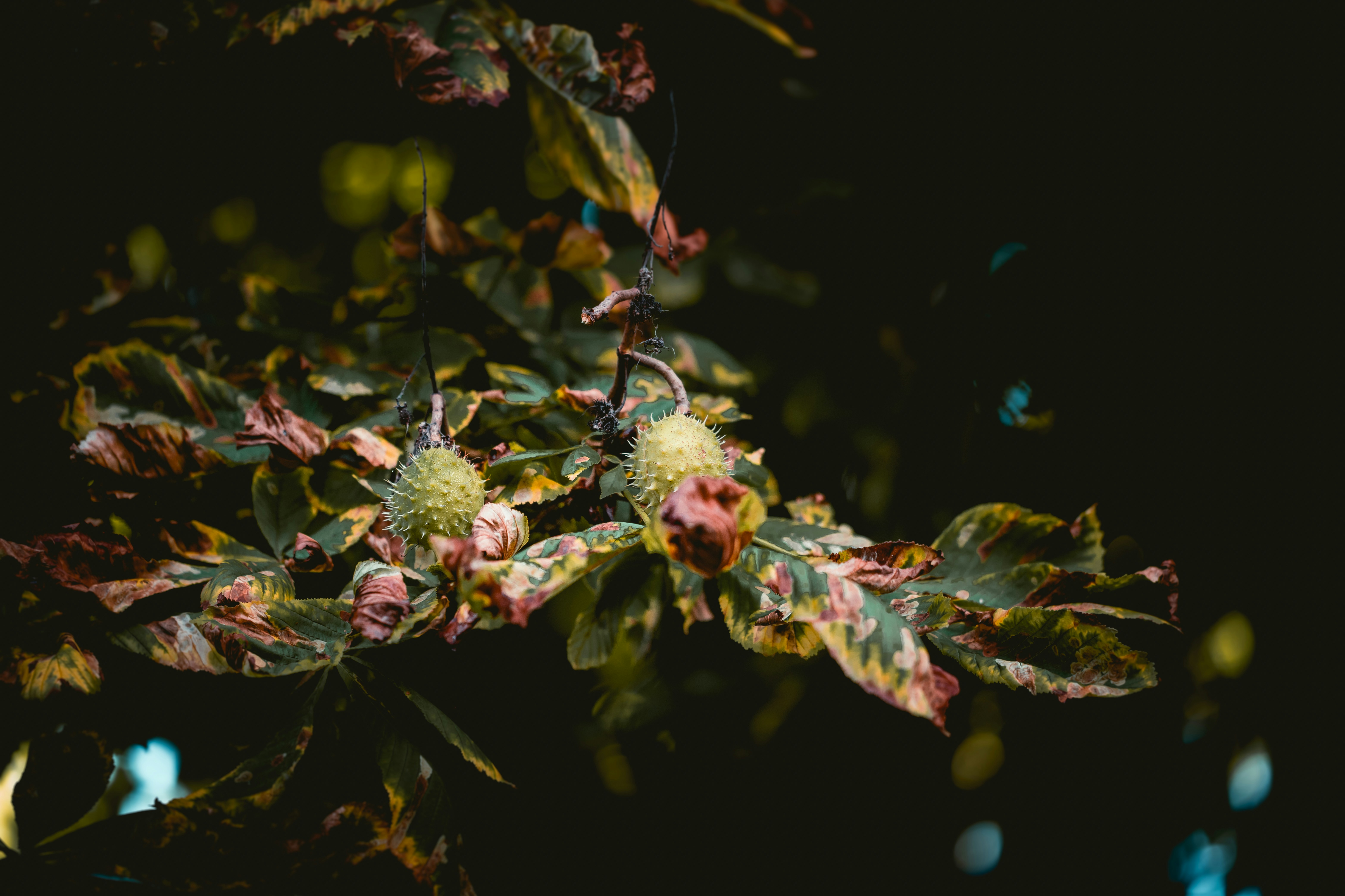 Photo by niklas_hamann