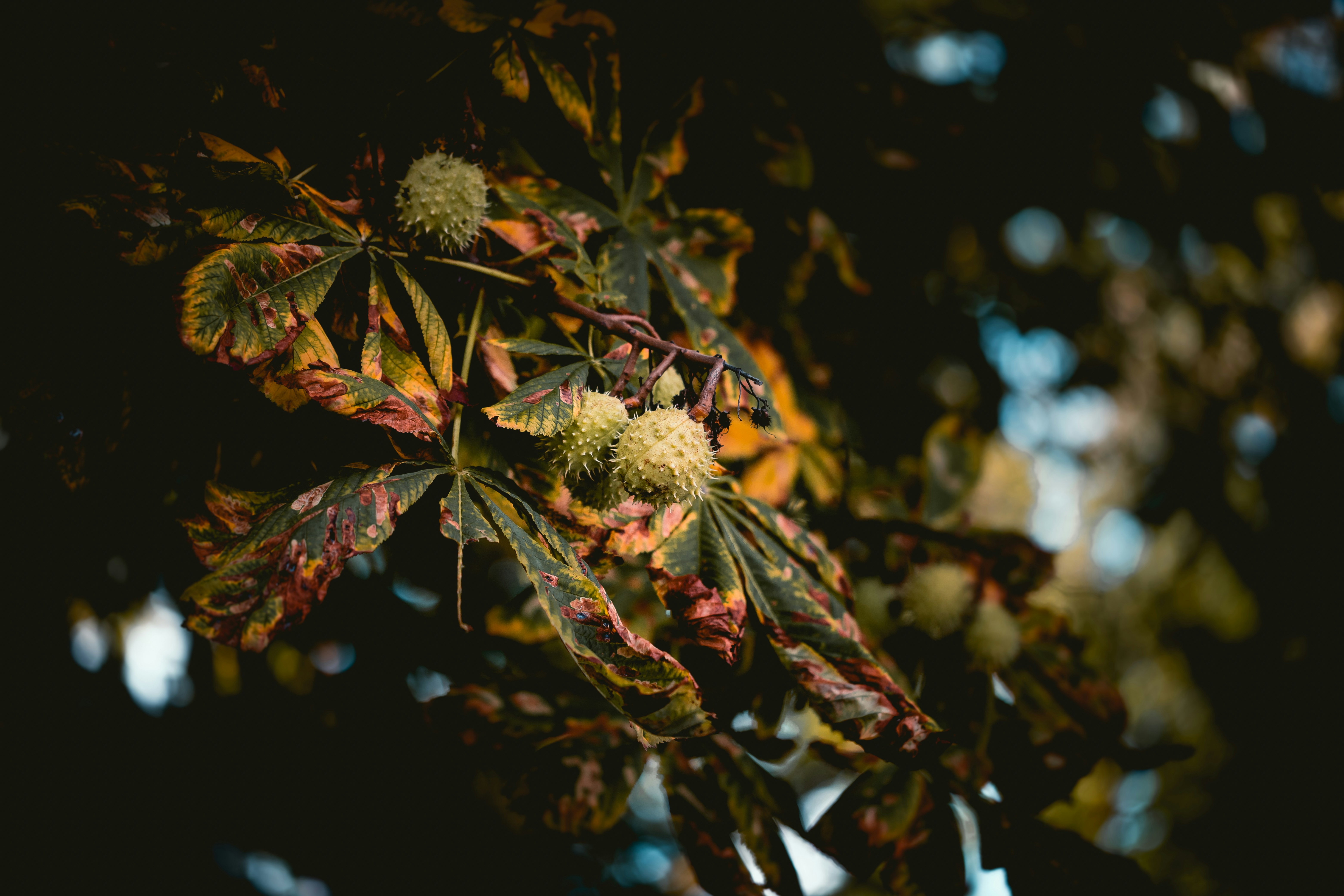 Photo by niklas_hamann