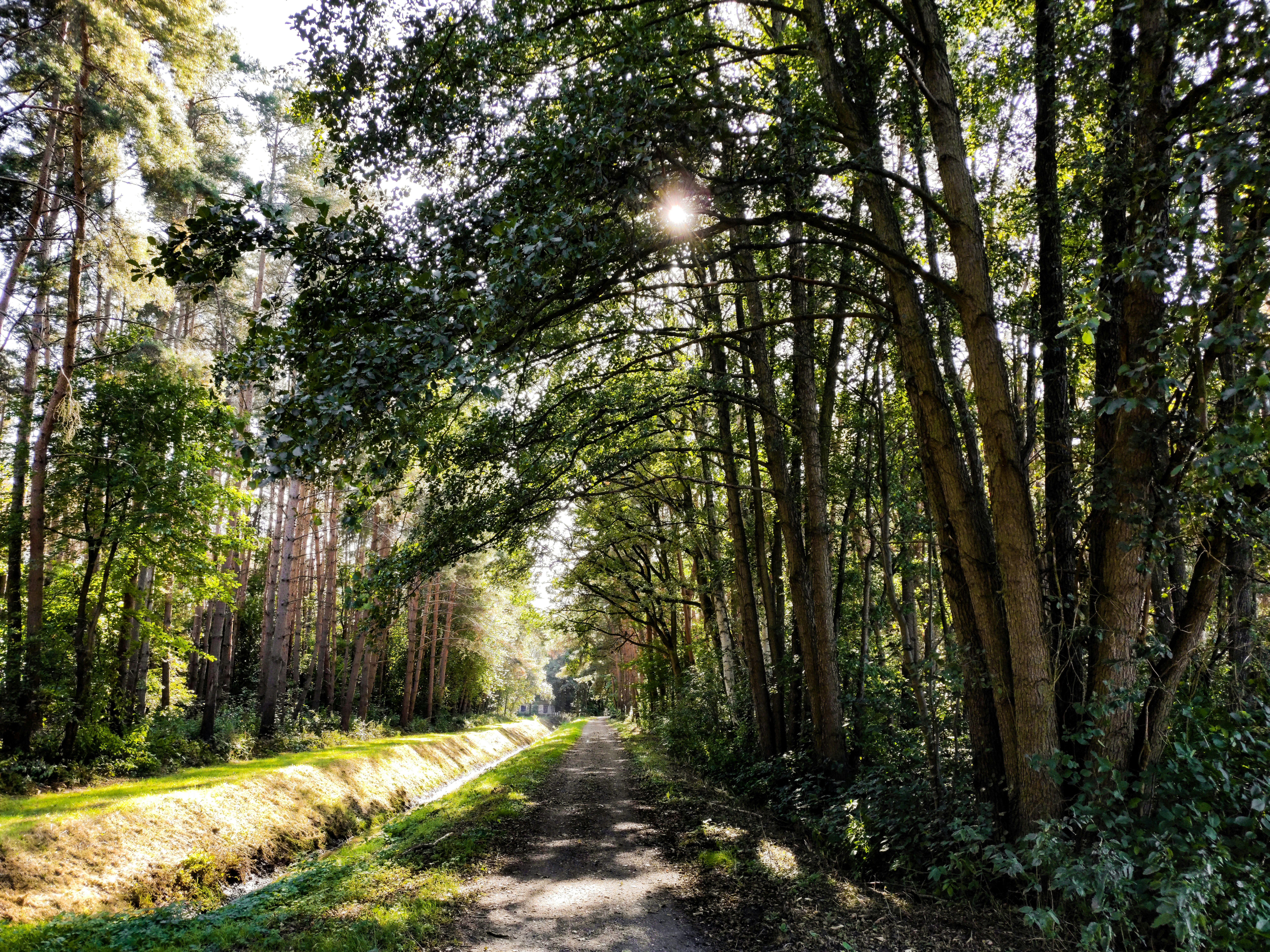 Photo by joshuakettle