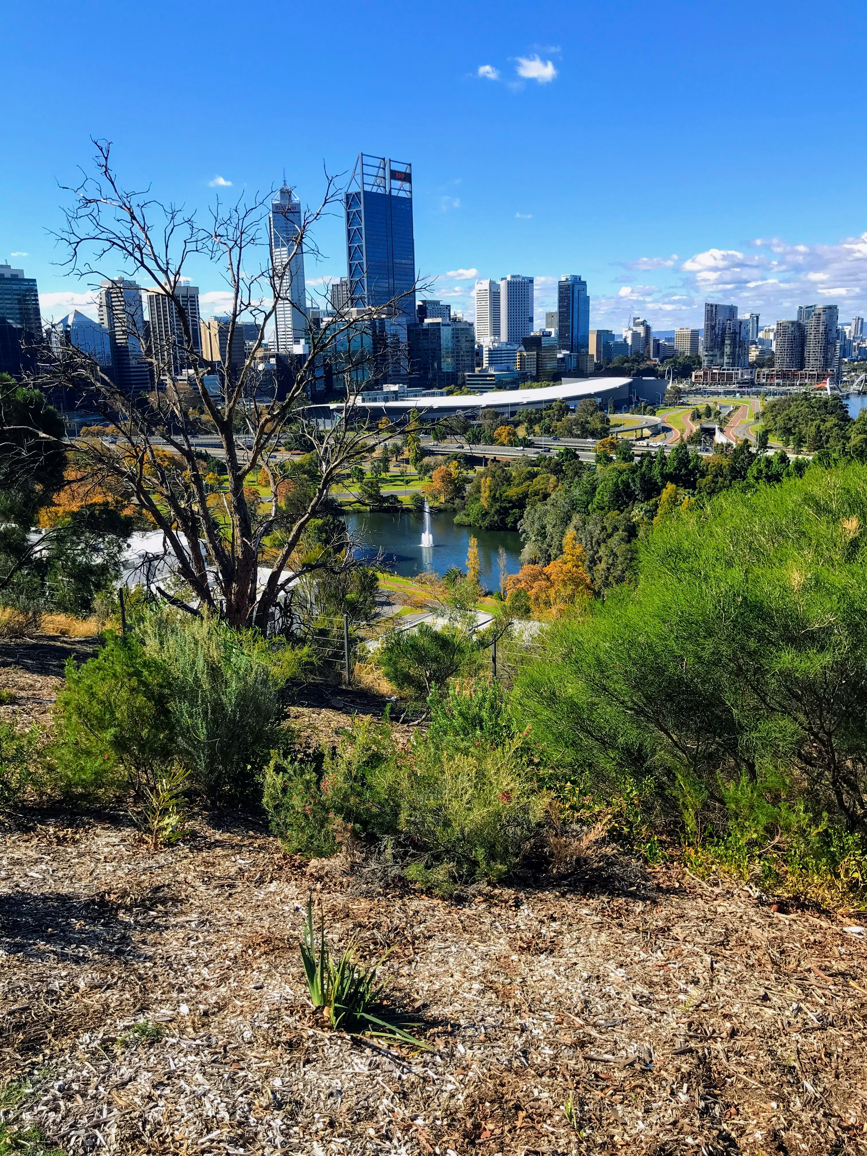 We love Perth.  A great place to live with Housemates