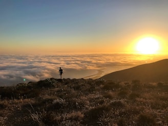 silhouette of standing person on cliff