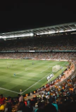 green soccer field inside stadium