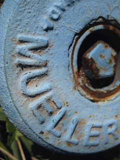 A close-up of a rusted metal cover with a bolt in the center. The surface is painted blue and features text in raised letters. The texture is rough, with visible signs of wear and rust. Surrounding the cover are hints of green foliage.