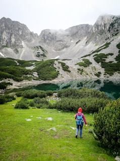 person walking on grass field near green bush during daytime
