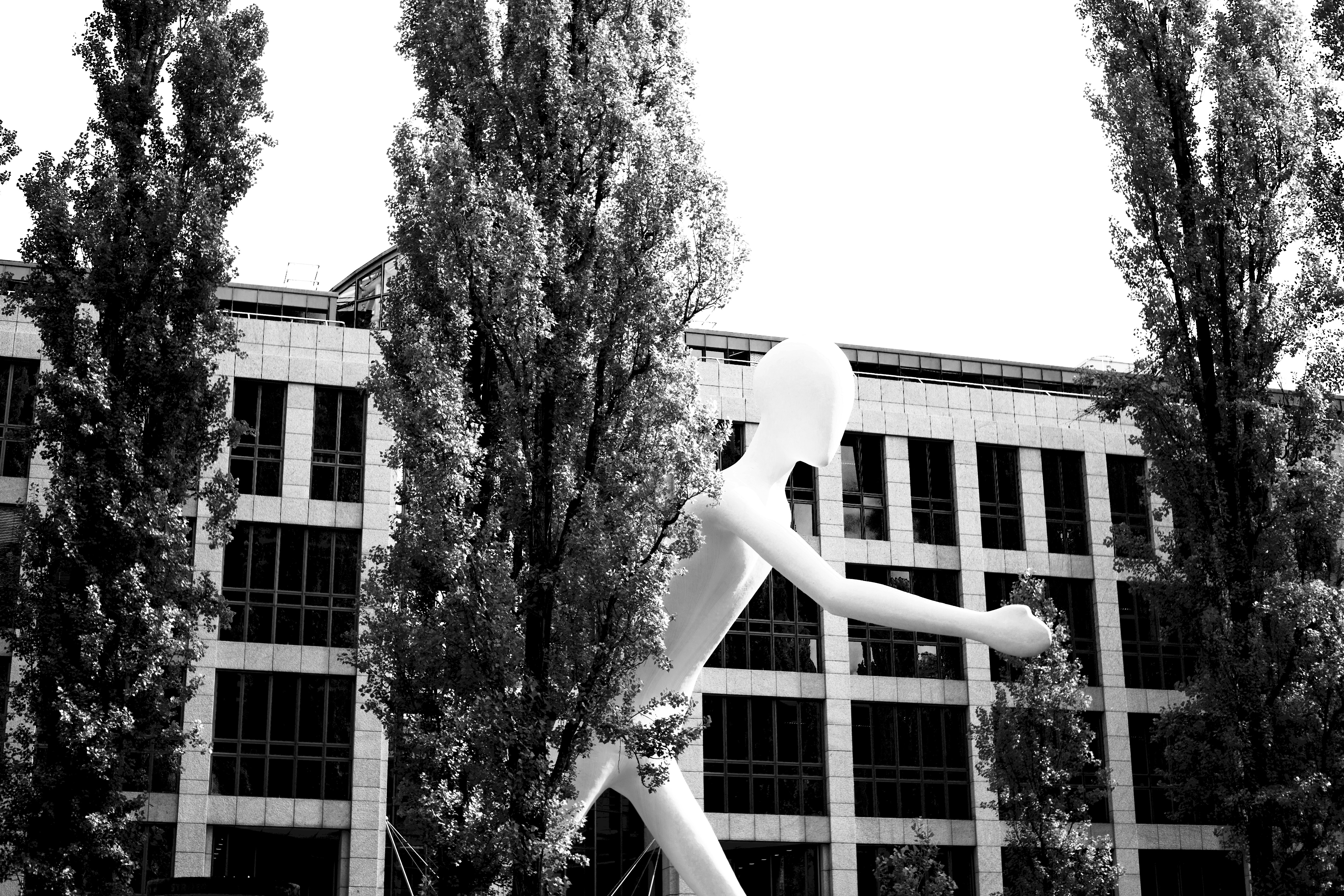 Photo by robertstemler