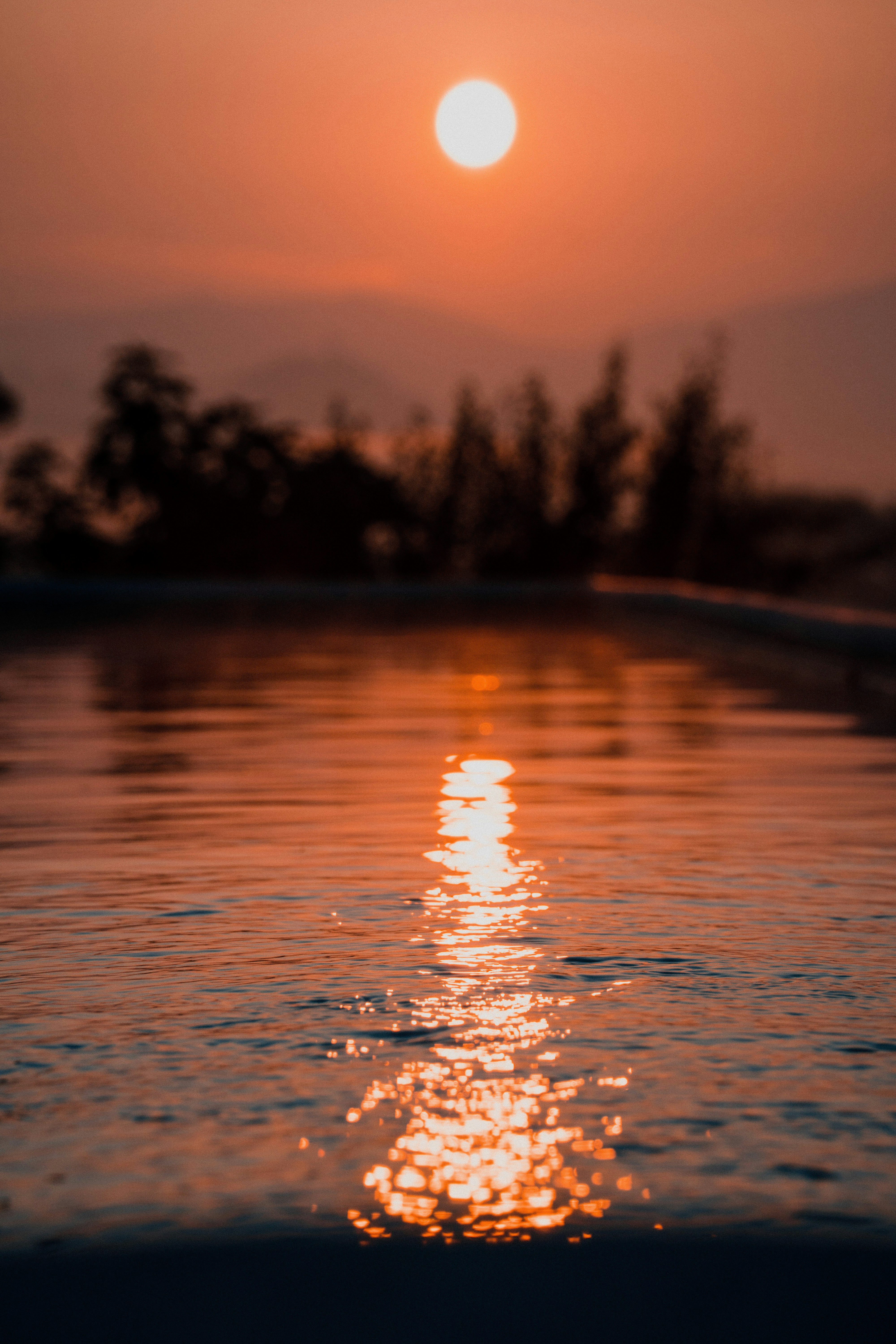 Photo by floweichelt