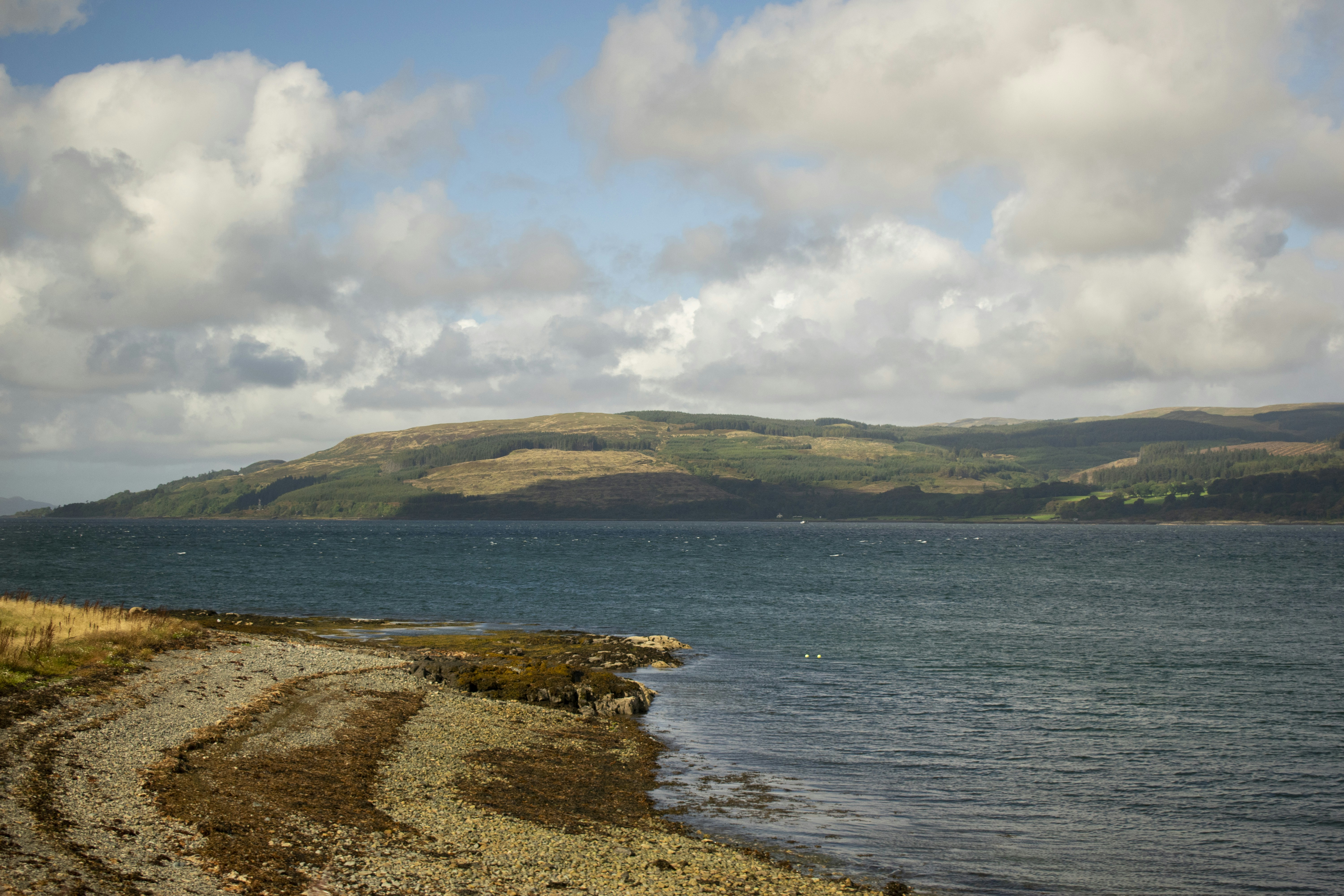 Photo by fredericogauz