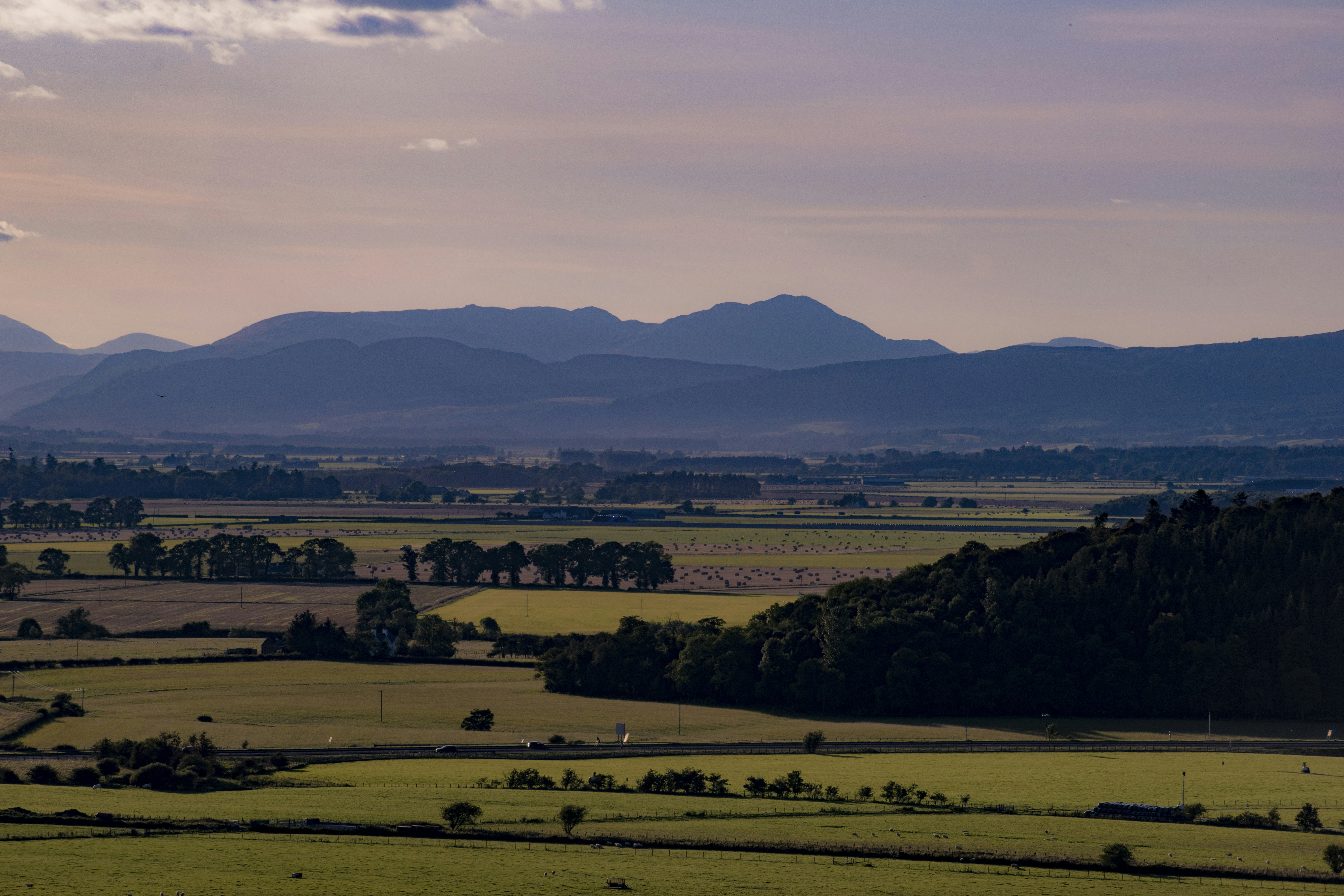 Photo by fredericogauz